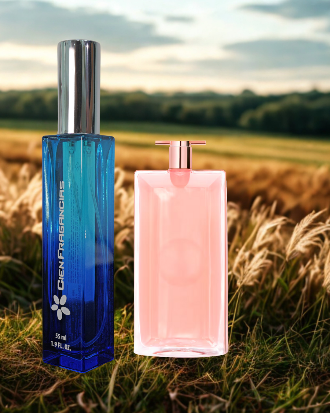 Fragancia Nº308 (Inspirada en Lancôme – Idole) W