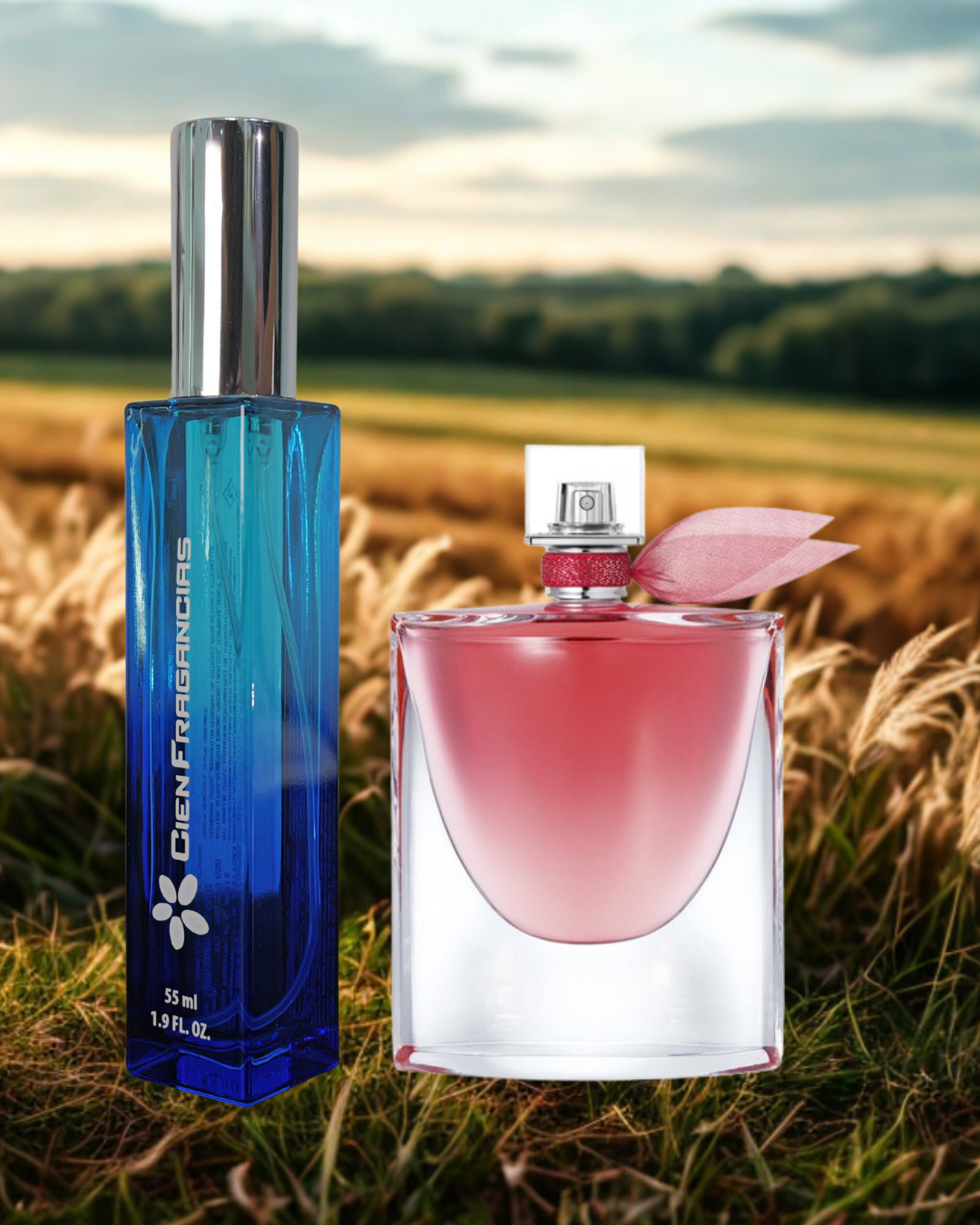 Fragancia Nº93 (Inspirada en Lancôme – La Vie Est Belle) W